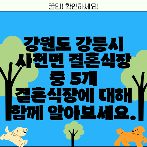 강원도 강릉시 사천면 결혼식장 중 5개 결혼식장에 대해 함께 알아보세요.