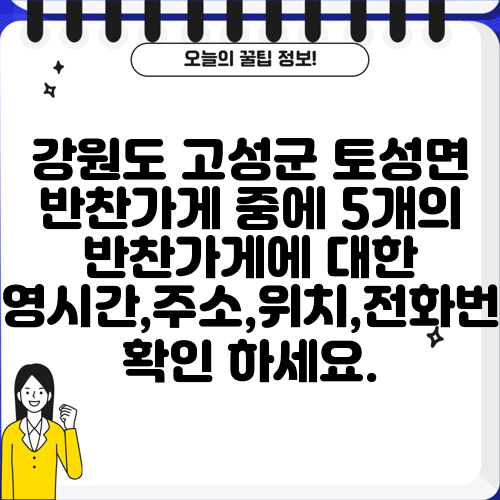 강원도 고성군 토성면 반찬가게 중에 5개의 반찬가게에 대한 운영시간,주소,위치,전화번호 확인 하세요.