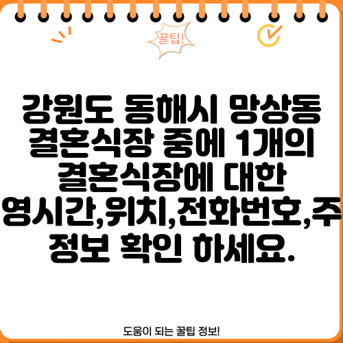 강원도 동해시 망상동 결혼식장 중에 1개의 결혼식장에 대한 운영시간,위치,전화번호,주소 정보 확인 하세요.
