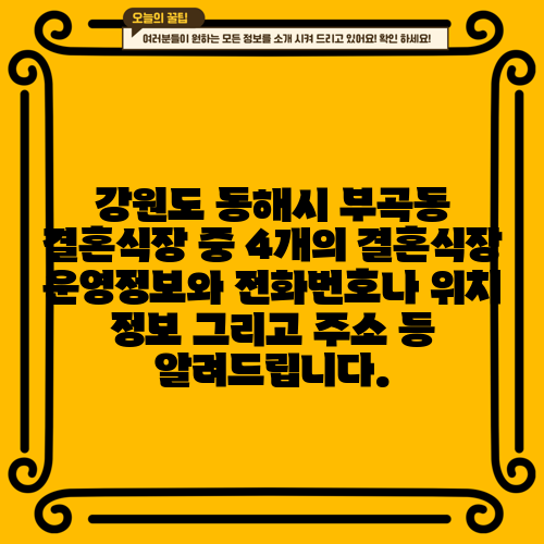 강원도 동해시 부곡동 결혼식장 중 4개의 결혼식장 운영정보와 전화번호나 위치 정보 그리고 주소 등 알려드립니다.