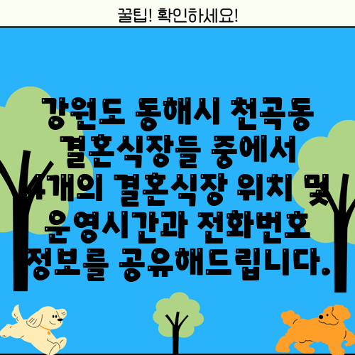 강원도 동해시 천곡동 결혼식장들 중에서 4개의 결혼식장 위치 및 운영시간과 전화번호 정보를 공유해드립니다.
