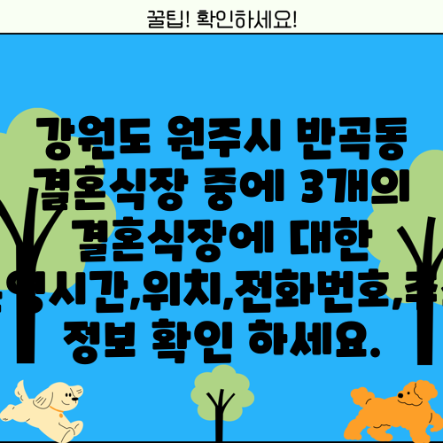 강원도 원주시 반곡동 결혼식장 중에 3개의 결혼식장에 대한 운영시간,위치,전화번호,주소 정보 확인 하세요.