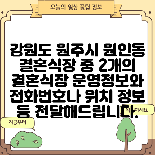 강원도 원주시 원인동 결혼식장 중 2개의 결혼식장 운영정보와 전화번호나 위치 정보 등 전달해드립니다.