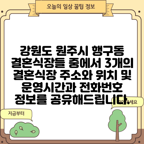 강원도 원주시 행구동 결혼식장들 중에서 3개의 결혼식장 주소와 위치 및 운영시간과 전화번호 정보를 공유해드립니다.