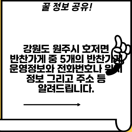 강원도 원주시 호저면 반찬가게 중 5개의 반찬가게 운영정보와 전화번호나 위치 정보 그리고 주소 등 알려드립니다.