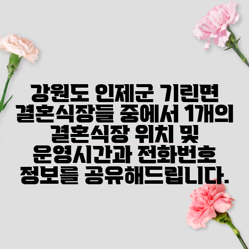 강원도 인제군 기린면 결혼식장들 중에서 1개의 결혼식장 위치 및 운영시간과 전화번호 정보를 공유해드립니다.
