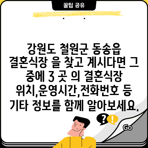 강원도 철원군 동송읍 결혼식장 을 찾고 계시다면 그 중에 3 곳 의 결혼식장 위치,운영시간,전화번호 등 기타 정보를 함께 알아보세요.