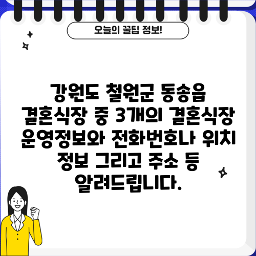 강원도 철원군 동송읍 결혼식장 중 3개의 결혼식장 운영정보와 전화번호나 위치 정보 그리고 주소 등 알려드립니다.