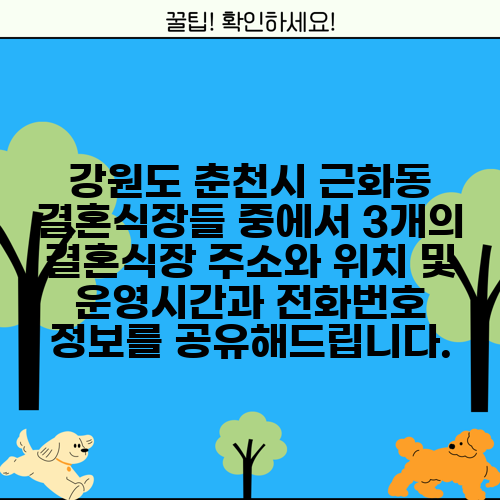 강원도 춘천시 근화동 결혼식장들 중에서 3개의 결혼식장 주소와 위치 및 운영시간과 전화번호 정보를 공유해드립니다.