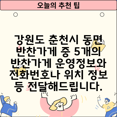 강원도 춘천시 동면 반찬가게 중 5개의 반찬가게 운영정보와 전화번호나 위치 정보 등 전달해드립니다.