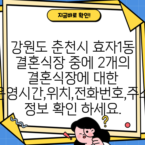 강원도 춘천시 효자1동 결혼식장 중에 2개의 결혼식장에 대한 운영시간,위치,전화번호,주소 정보 확인 하세요.
