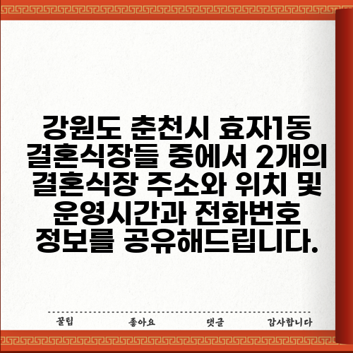 강원도 춘천시 효자1동 결혼식장들 중에서 2개의 결혼식장 주소와 위치 및 운영시간과 전화번호 정보를 공유해드립니다.