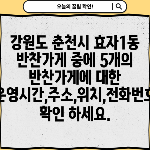 강원도 춘천시 효자1동 반찬가게 중에 5개의 반찬가게에 대한 운영시간,주소,위치,전화번호 확인 하세요.