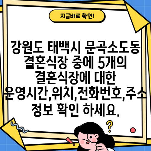 강원도 태백시 문곡소도동 결혼식장 중에 5개의 결혼식장에 대한 운영시간,위치,전화번호,주소 정보 확인 하세요.