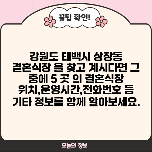 강원도 태백시 상장동 결혼식장 을 찾고 계시다면 그 중에 5 곳 의 결혼식장 위치,운영시간,전화번호 등 기타 정보를 함께 알아보세요.