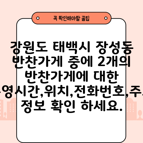 강원도 태백시 장성동 반찬가게 중에 2개의 반찬가게에 대한 운영시간,위치,전화번호,주소 정보 확인 하세요.