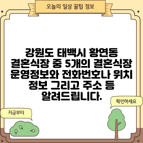 강원도 태백시 황연동 결혼식장 중 5개의 결혼식장 운영정보와 전화번호나 위치 정보 그리고 주소 등 알려드립니다.