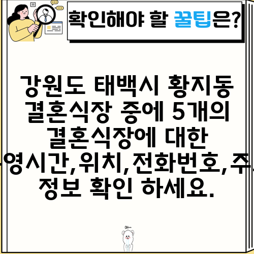 강원도 태백시 황지동 결혼식장 중에 5개의 결혼식장에 대한 운영시간,위치,전화번호,주소 정보 확인 하세요.