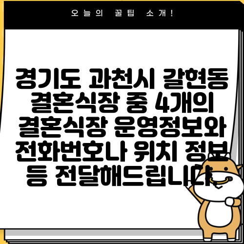 경기도 과천시 갈현동 결혼식장 중 4개의 결혼식장 운영정보와 전화번호나 위치 정보 등 전달해드립니다.