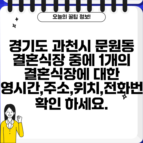경기도 과천시 문원동 결혼식장 중에 1개의 결혼식장에 대한 운영시간,주소,위치,전화번호 확인 하세요.