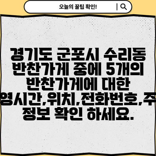 경기도 군포시 수리동 반찬가게 중에 5개의 반찬가게에 대한 운영시간,위치,전화번호,주소 정보 확인 하세요.