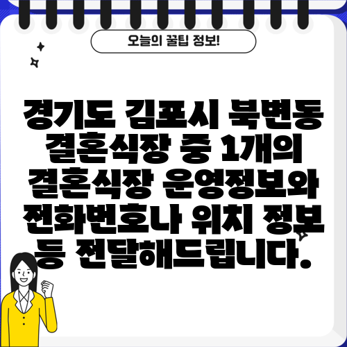 경기도 김포시 북변동 결혼식장 중 1개의 결혼식장 운영정보와 전화번호나 위치 정보 등 전달해드립니다.