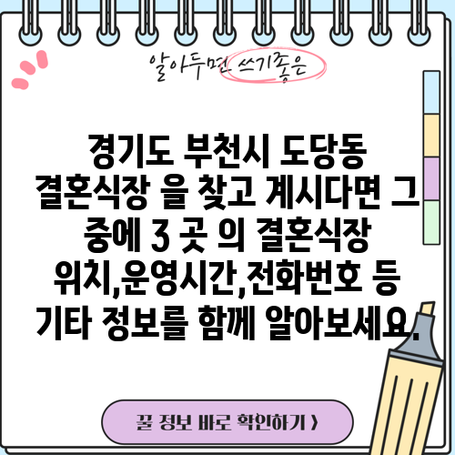 경기도 부천시 도당동 결혼식장 을 찾고 계시다면 그 중에 3 곳 의 결혼식장 위치,운영시간,전화번호 등 기타 정보를 함께 알아보세요.