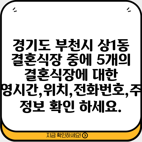 경기도 부천시 상1동 결혼식장 중에 5개의 결혼식장에 대한 운영시간,위치,전화번호,주소 정보 확인 하세요.