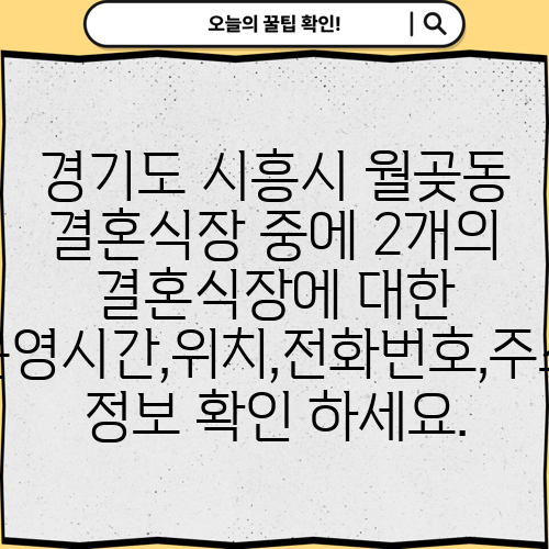 경기도 시흥시 월곶동 결혼식장 중에 2개의 결혼식장에 대한 운영시간,위치,전화번호,주소 정보 확인 하세요.