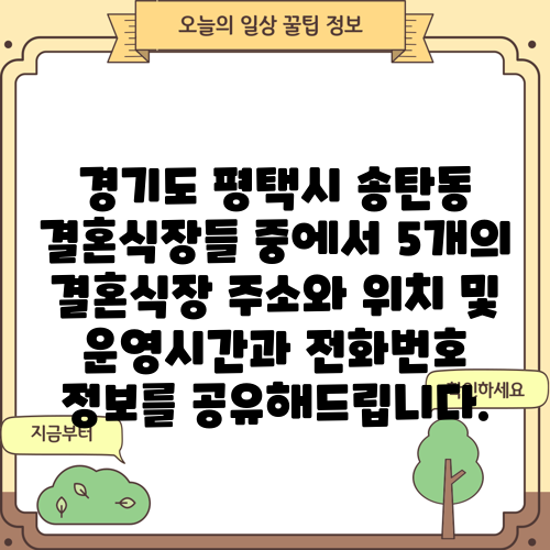 경기도 평택시 송탄동 결혼식장들 중에서 5개의 결혼식장 주소와 위치 및 운영시간과 전화번호 정보를 공유해드립니다.