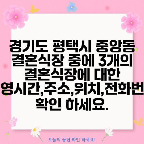 경기도 평택시 중앙동 결혼식장 중에 3개의 결혼식장에 대한 운영시간,주소,위치,전화번호 확인 하세요.