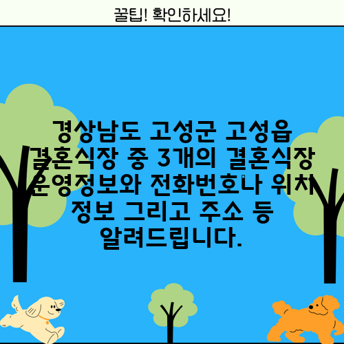 경상남도 고성군 고성읍 결혼식장 중 3개의 결혼식장 운영정보와 전화번호나 위치 정보 그리고 주소 등 알려드립니다.