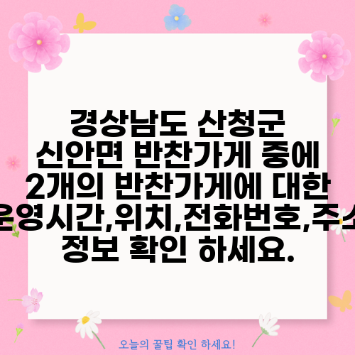 경상남도 산청군 신안면 반찬가게 중에 2개의 반찬가게에 대한 운영시간,위치,전화번호,주소 정보 확인 하세요.