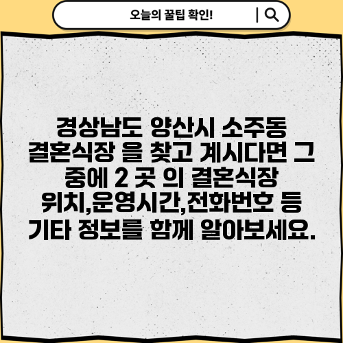 경상남도 양산시 소주동 결혼식장 을 찾고 계시다면 그 중에 2 곳 의 결혼식장 위치,운영시간,전화번호 등 기타 정보를 함께 알아보세요.