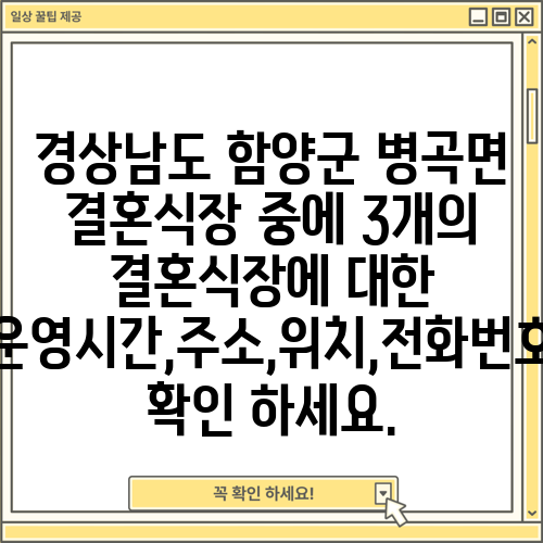 경상남도 함양군 병곡면 결혼식장 중에 3개의 결혼식장에 대한 운영시간,주소,위치,전화번호 확인 하세요.