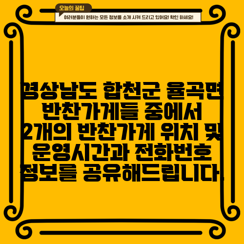 경상남도 합천군 율곡면 반찬가게들 중에서 2개의 반찬가게 위치 및 운영시간과 전화번호 정보를 공유해드립니다.