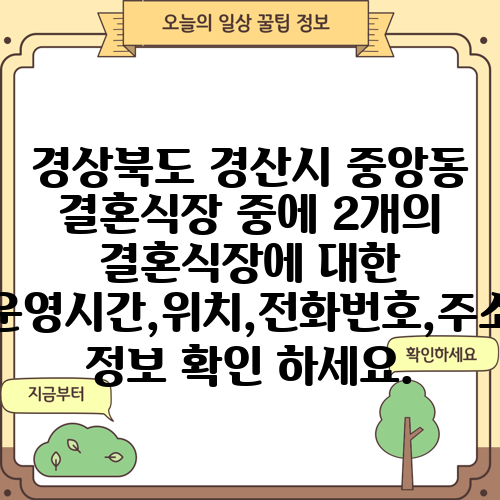 경상북도 경산시 중앙동 결혼식장 중에 2개의 결혼식장에 대한 운영시간,위치,전화번호,주소 정보 확인 하세요.
