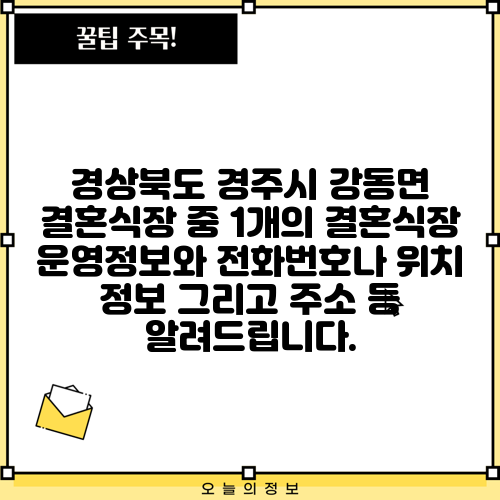 경상북도 경주시 강동면 결혼식장 중 1개의 결혼식장 운영정보와 전화번호나 위치 정보 그리고 주소 등 알려드립니다.