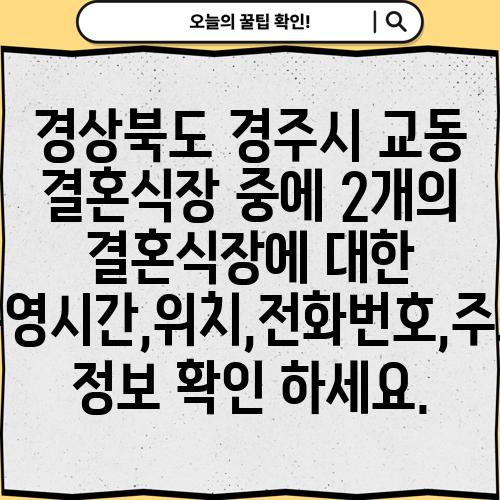 경상북도 경주시 교동 결혼식장 중에 2개의 결혼식장에 대한 운영시간,위치,전화번호,주소 정보 확인 하세요.