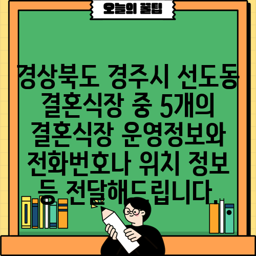 경상북도 경주시 선도동 결혼식장 중 5개의 결혼식장 운영정보와 전화번호나 위치 정보 등 전달해드립니다.