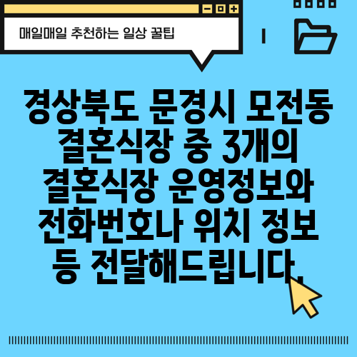 경상북도 문경시 모전동 결혼식장 중 3개의 결혼식장 운영정보와 전화번호나 위치 정보 등 전달해드립니다.