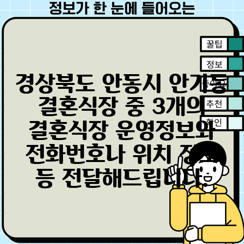 경상북도 안동시 안기동 결혼식장 중 3개의 결혼식장 운영정보와 전화번호나 위치 정보 등 전달해드립니다.