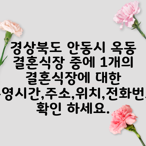 경상북도 안동시 옥동 결혼식장 중에 1개의 결혼식장에 대한 운영시간,주소,위치,전화번호 확인 하세요.