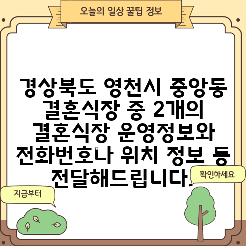 경상북도 영천시 중앙동 결혼식장 중 2개의 결혼식장 운영정보와 전화번호나 위치 정보 등 전달해드립니다.
