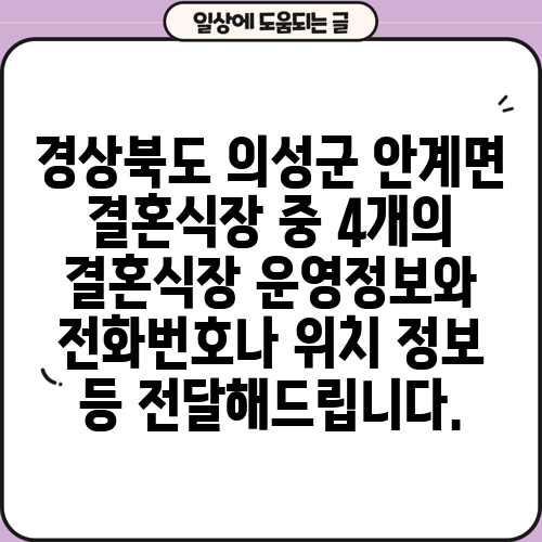 경상북도 의성군 안계면 결혼식장 중 4개의 결혼식장 운영정보와 전화번호나 위치 정보 등 전달해드립니다.