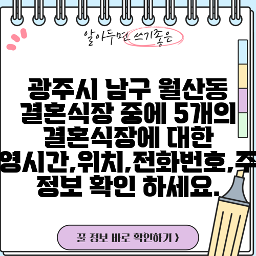 광주시 남구 월산동 결혼식장 중에 5개의 결혼식장에 대한 운영시간,위치,전화번호,주소 정보 확인 하세요.