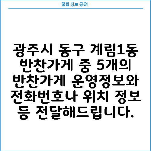 광주시 동구 계림1동 반찬가게 중 5개의 반찬가게 운영정보와 전화번호나 위치 정보 등 전달해드립니다.