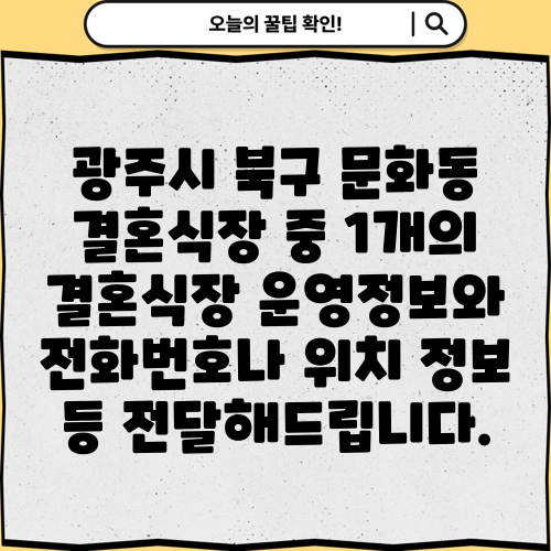 광주시 북구 문화동 결혼식장 중 1개의 결혼식장 운영정보와 전화번호나 위치 정보 등 전달해드립니다.