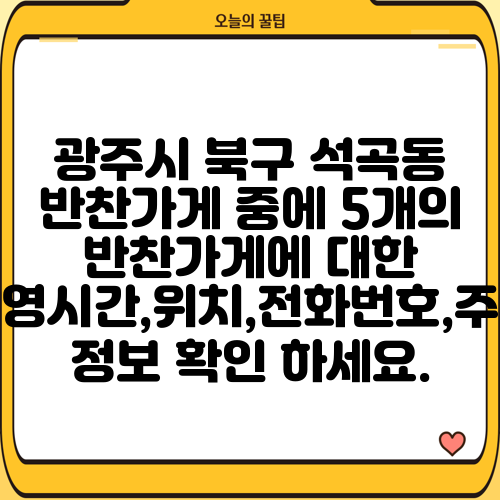 광주시 북구 석곡동 반찬가게 중에 5개의 반찬가게에 대한 운영시간,위치,전화번호,주소 정보 확인 하세요.