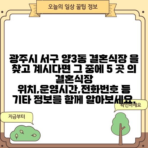 광주시 서구 양3동 결혼식장 을 찾고 계시다면 그 중에 5 곳 의 결혼식장 위치,운영시간,전화번호 등 기타 정보를 함께 알아보세요.